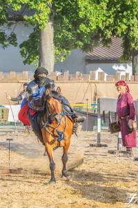 Jahrhundertmarkt Stuttgart 2019